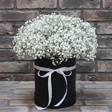 Цветочная композиция из Гипсофила в шляпной коробке в Первомайке